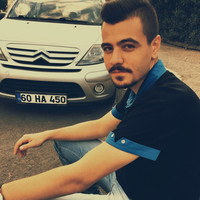 Levent Şahinler