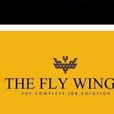 The Fly Wings