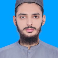 anas bashir