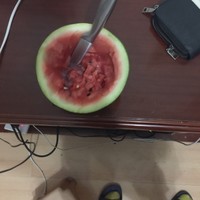 李子木