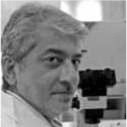 Prof Zafar