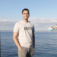 Mahmoud Amer