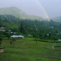 Muhammad Siddique Muhammad Siddique