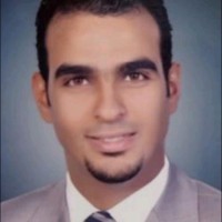 Hatem Fahmy
