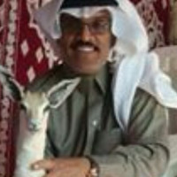Bader Zain Altmimi
