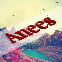 anees mirza