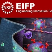 Eng Innovation Fellows Program