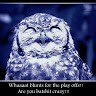 Owl Capone