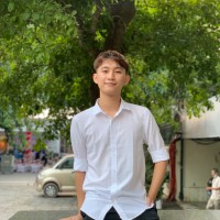 Việt Hoàng Hồ