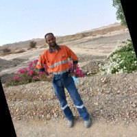 حمدي ابو علي