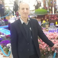 M. Ali Tavasoli