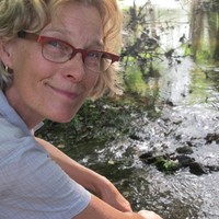 Mirjam Bode