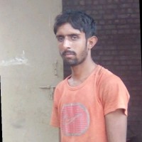 jamshaid Iqbal (SEO EXPERT)