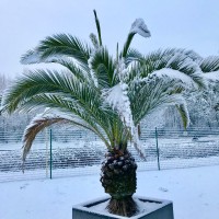 Climatisation MULLER