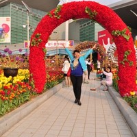 Архабаева Меруерт