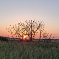 ANGEL LUIS MARTIN CRIADO