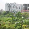 Saras p