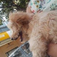 唐晓慧