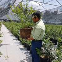 Jn Alfonso Echeverria Ramirez