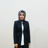 Ayşe Yapıcı