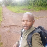 dave kimathi