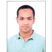 Mohamed Abd Alfattah Alamir