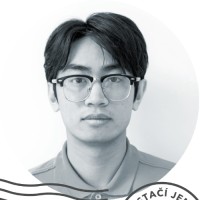 Long Do Hoang