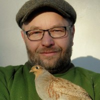 Thorsten Franz