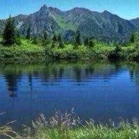 高枫叶