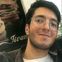 Seyed Mohsen Izadi Avanji