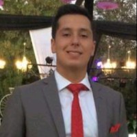 Diego Araneda Martinez
