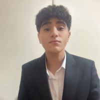 Kareem Ashry