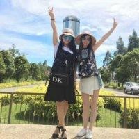 杨如成