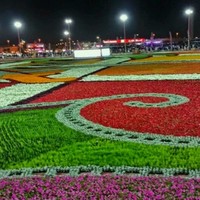 Hosam Hoa