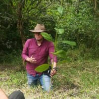 Cristian Fernando Mosquera Vargas