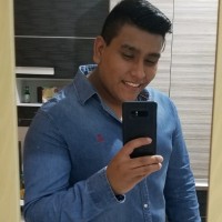 Pedro F Silva