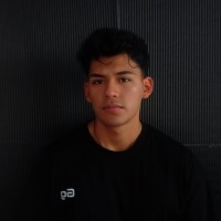 Nestor Mamani