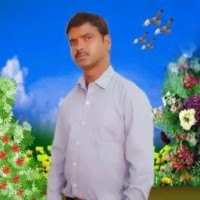 K Saravanan