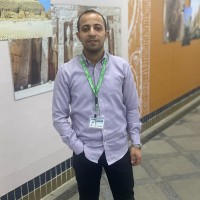 Mahmoud Shafik
