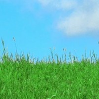Bristol Integrative Hypnotherapy