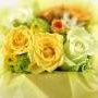 Suman Sidharth