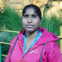 Boya Jyothi