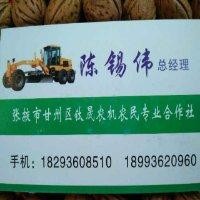陈锡伟