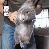刘振生