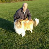 Bill DiFabio