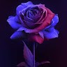 Dil Dosti