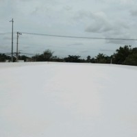 Cristofer Pacheco Ucan