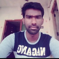 Dinesh N
