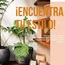 Alondra Topete