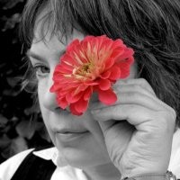 Lisa Haun
